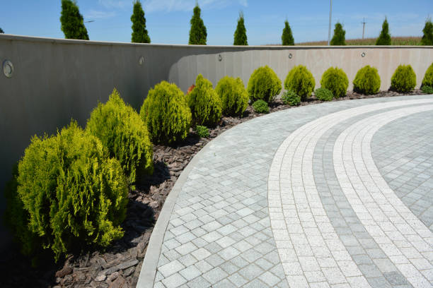 Reasons to Select Us for Your Driveway Paving Requirements in Sheridan, OR